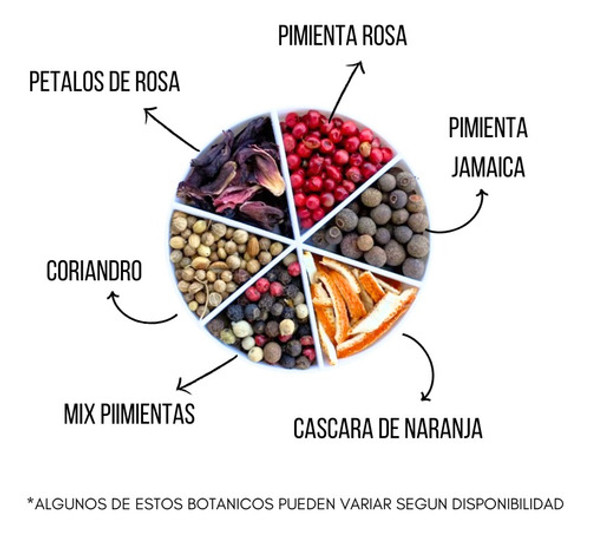 Combo Gin Bulldog + Copon + Botanicos + Caja Gin Tonic Box 1