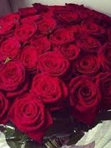 Ramo Rosas Naturales X 100 1
