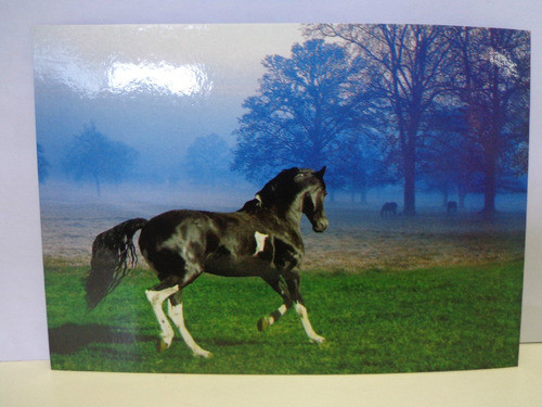 Lote De 6 Tarjetas Con Imagenes De Caballos 1
