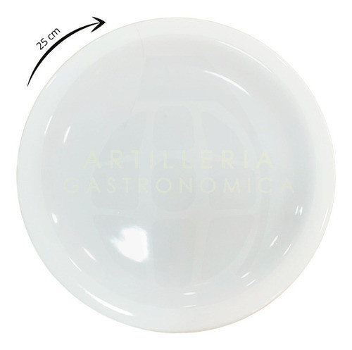 Plato Playo 25cm Ala Angosta Tsuji Línea 450 Porcelana X1 U 1