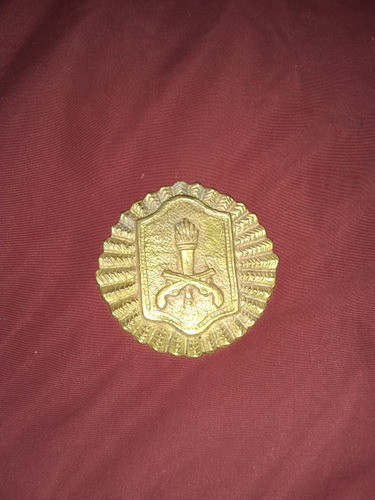 Antigua Placa Emblema Policial Bronce 0