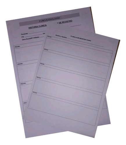 Planilla De Registro Diario Fonoaudiología 0