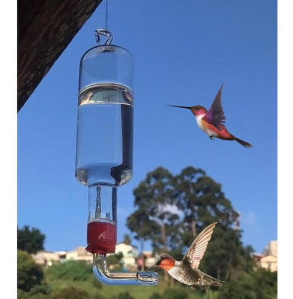 Bebedouro Pequeno Todo De Vidro Para Beija Flor + Brinde 0