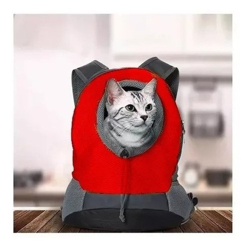 Kit Viaje Poncho Polar + Mochila Bolso Transportador Talle L 1