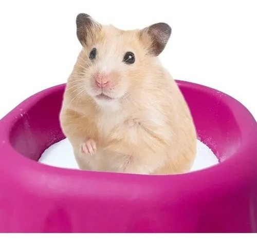 Banho Seco Para Hamster Chinchilas E Roedores 1 Kg Mundo Pet 1