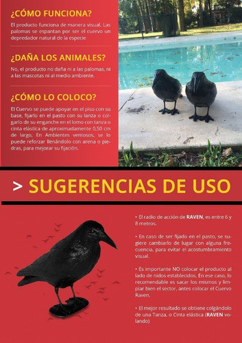 Cuervo Ahuyenta Espanta Palomas Raven X 3 Unid 1