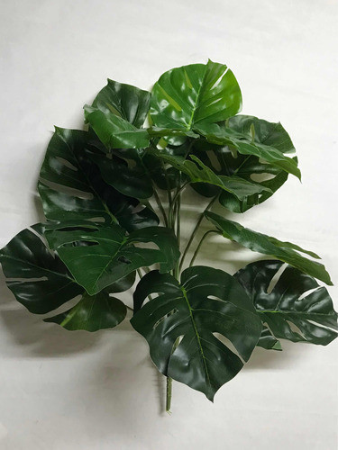 Planta Artificial Mostera 50 Cm. Deco Interior 1