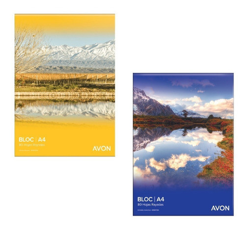 Block A4 Rayado Ledesma Avon De 80 Hojas Pack X 10 0