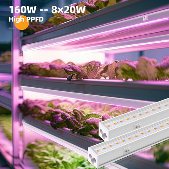 Luces De Crecimiento Plantas De Interior, Espectro Comp... 1 Luces De Crecimiento Plantas De Interior, Espectro Comp... 1