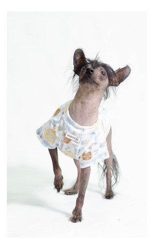 Remeras Protección Uv Para Perros Y Gatos 1