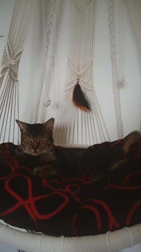 Hamaca Para Gatos 0