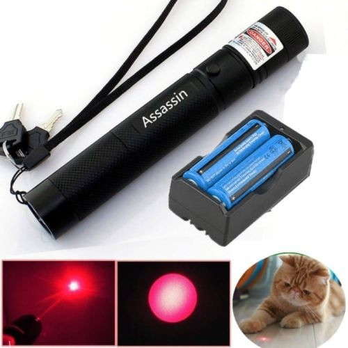 Usa Láser Rojo Brillante Puntero Pluma 5mw 650nm Rayo Visibl 0