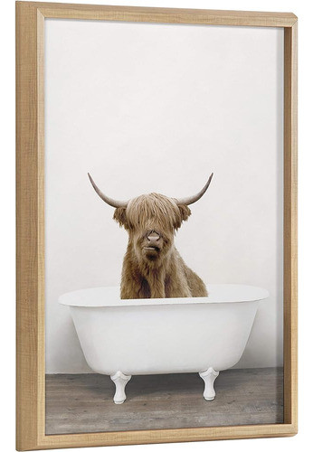 Kate Y Laurel Blake Highland Cow In Tub Color Framed Printed 0