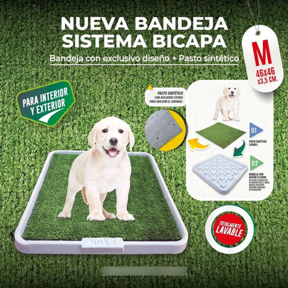 Maskot Alfombra Bandeja Sanitaria Perros Chicos Y Medianos 1
