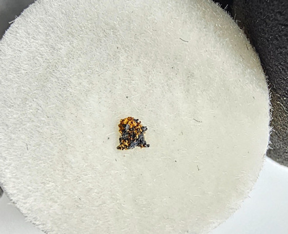 Ouro D Califórnia Eua Sobre Matriz Pedra Bruta Mineral N4248 1 Ouro D Califórnia Eua Sobre Matriz Pedra Bruta Mineral N4248 1