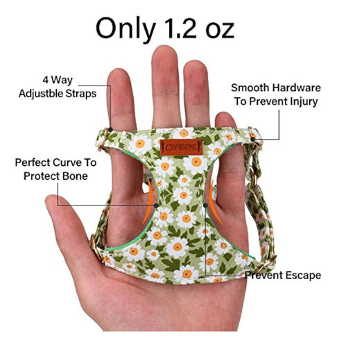 Chede Arnés Para Perro Sin Tirones, Arnés Ligero Y 1