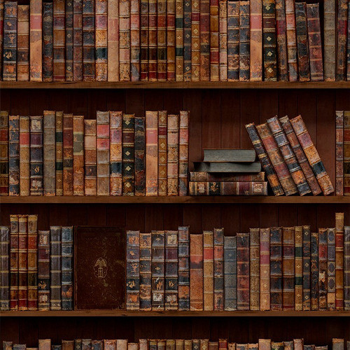 Papel De Parede Adesivo Biblioteca Acervo De Livros 3,0m 1