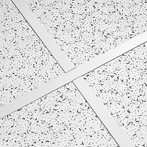 Cielorraso Desmontable 61x 61  Armstrong Cortega Br 770 1