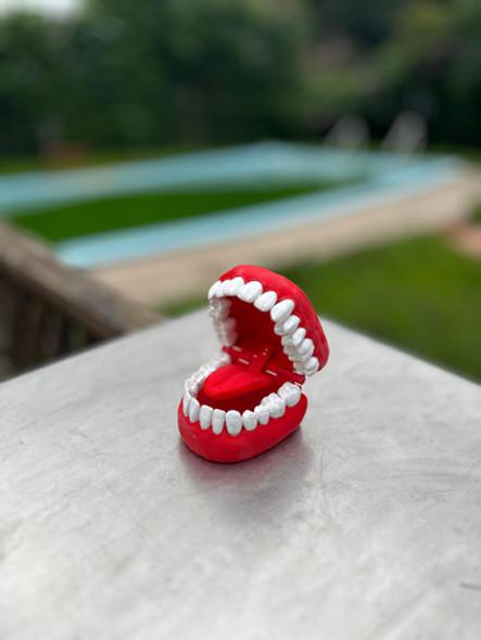 Modelo Dental Odontológico 1 Modelo Dental Odontológico 1