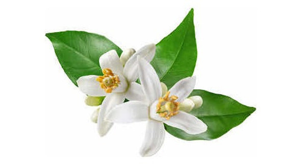 Hidrolato De Rosa Damascena O Hidrolato De Azahar 250ml 0 Hidrolato De Rosa Damascena O Hidrolato De Azahar 250ml 0