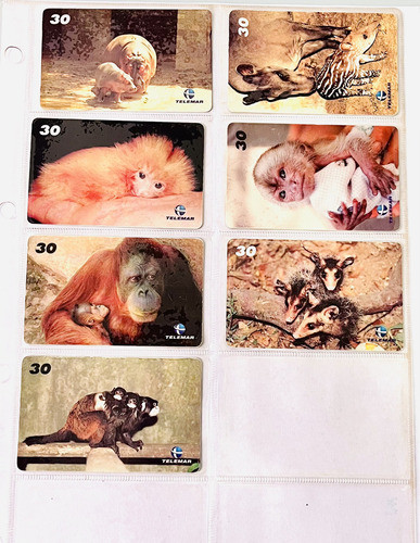 Kit Com 7 Cartões Telefônicos Baby Zoo 0