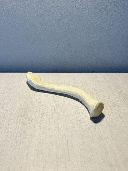 Clavicula Humana - Impresión 3d 1