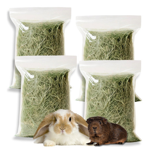 Heno Timothy Cobayo Conejo Chinchilla Hamster  100 Gr. 0