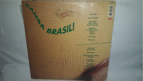 Lp Luiz Ayrâo Samba Brasil + Encarte 1993 Ne 1