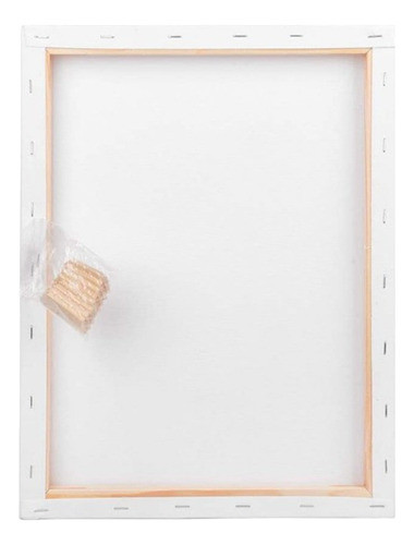 Bastidor Lienzo Ad Oleo Y Acrilico 20x20cm. Serviciopapelero 1