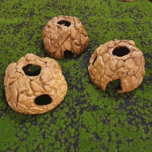 Tr 217, Toca Esconderijo Pequena Gecko, Hamster, Reptmania 1