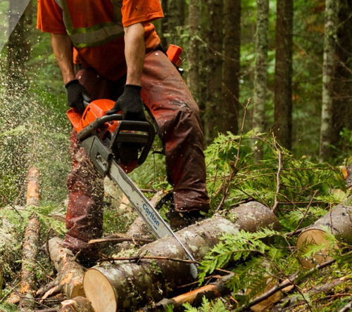 Espada Motosierra Echo 3000 Carlton 12'' - 30 Cm 1