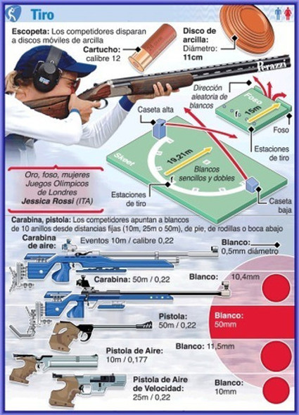 Tiro - Armas - Deporte Olímpico - Lámina 45x30 Cm. 1
