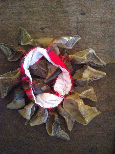 Chajchas Pezuñas De Cabra Norteña 0