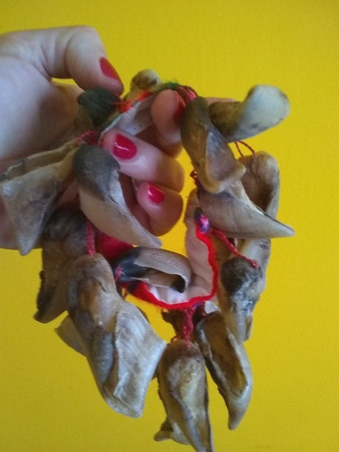 Chajchas Pezuñas De Cabra Norteña 1