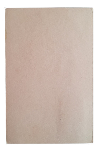 Argentina Tarjeta Día Emisión Flor Nacional Chilena Copihue 1
