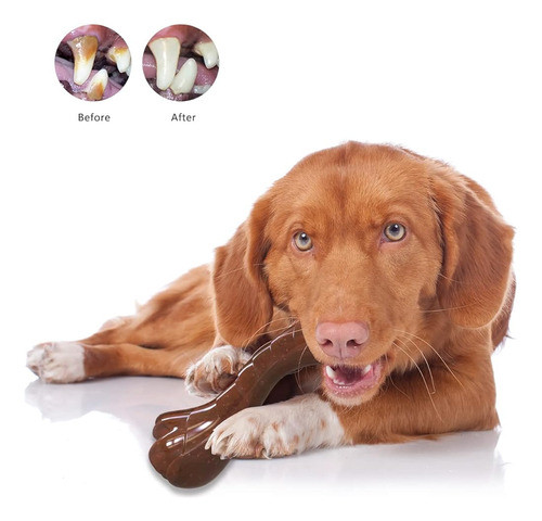 Juguetes Para Perros Para Masticadores Agresivos, Juguetes M 1