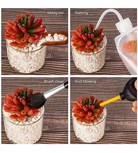 Lepohome - Juego De Herramientas De Mano Para Trasplante De 1