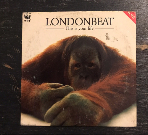 Cd Maxisingle Londonbeat / This Is Your Life (england) 0