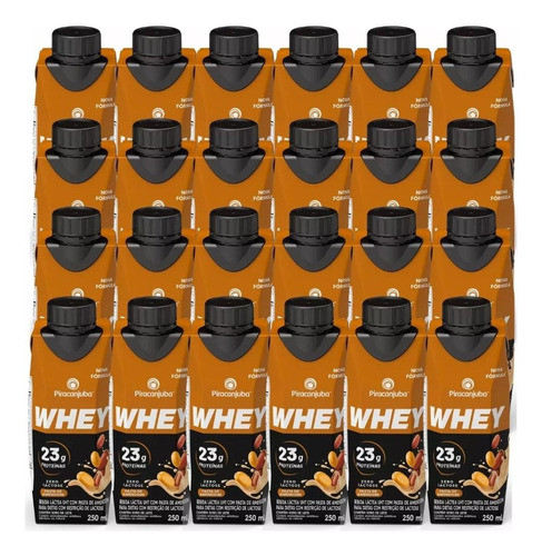 Bebida Láctea Whey Zl 250ml Kit C/ 24 Und Pasta De Amendoim 0