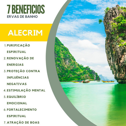 Ervas De Banho Aroeira E Alecrim Seca Ritualística 1