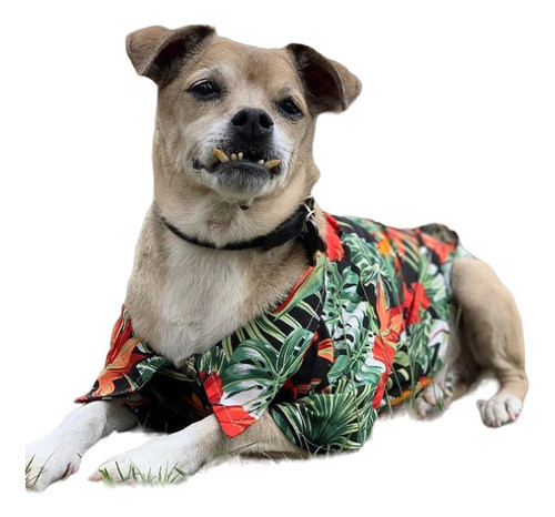 Camisa Hawaiana Para Perros - Talle 7 0
