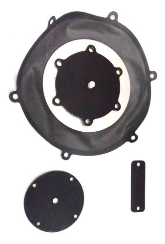 Kit De Reparación P/ Regulador 3ra Tomasetto Achille - St40 0