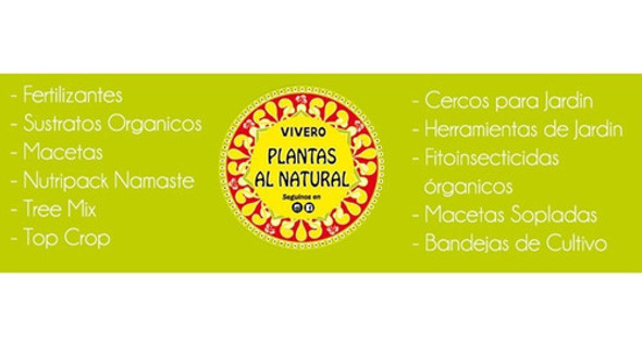 Sustrato Ideal Para Cactus Suculentas  X 5 Lts Terrafertil 1