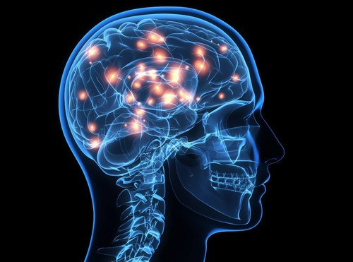 Fosfatidilserina Nootropico Mais Memória Concentração Tdah 1