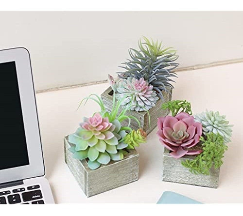 Plantas Suculentas Falsas En Macetas, Plantas Suculentas Peq 1