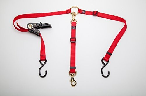 Cetacea Mascota Camion Cama Correa Con Tensor De Carraca Ha 0