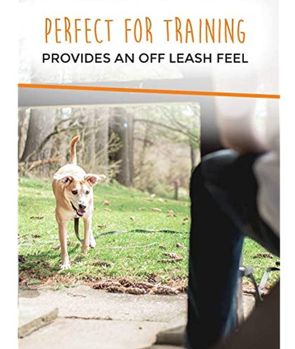 Correa De Perro Larga Y Poderosa Pata, Correa Para El Entren 1