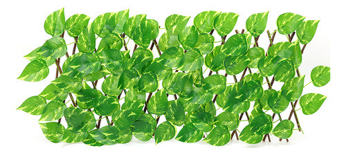 Cerca, Corrimão Falso, Plantas Ao Ar Livre, Folhas, Folhas D 0