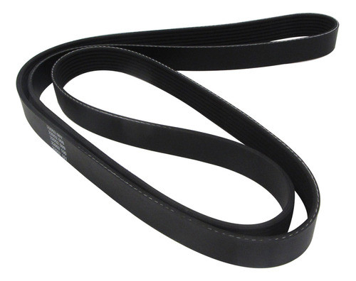 Correa Accesorios Dus-oroch-capt -f4r- 0