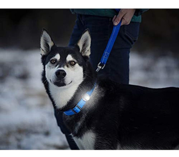 Rc Productos Para Mascotas 59100026 Poppin Light Collar Para 1